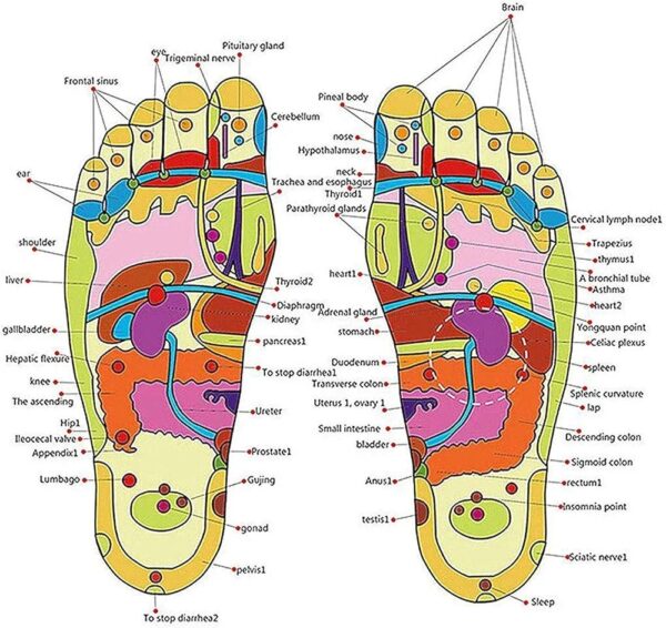 Spring Action Acupressure Massage Slippers - Image 2