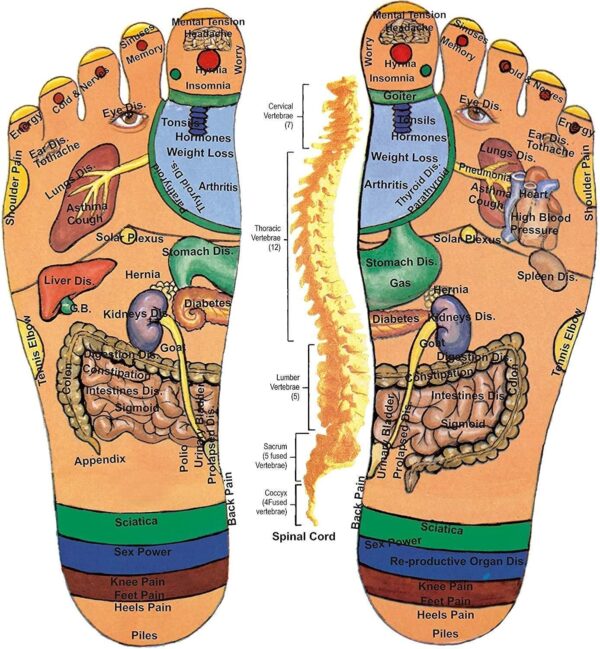 Spring Action Acupressure Massage Slippers - Image 5