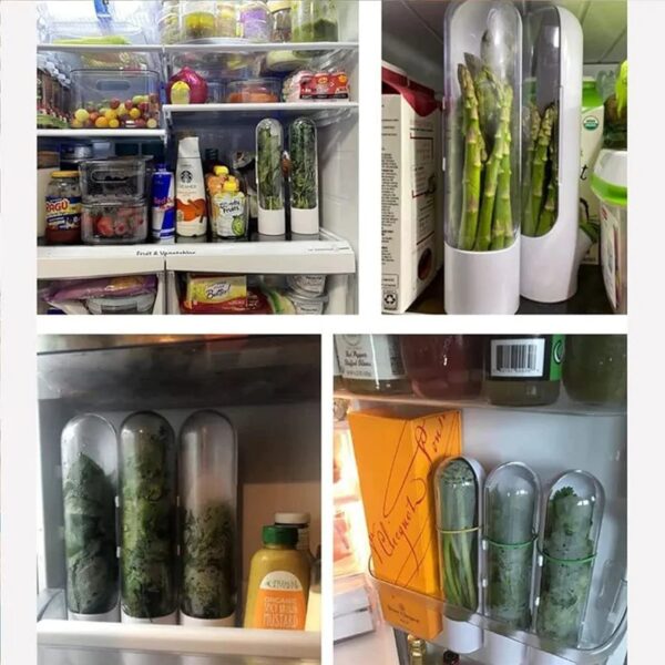Herb Saver for Refrigerator – Fresh Herb Keeper Pod for Cilantro, Mint, Parsley, Asparagus - Image 3